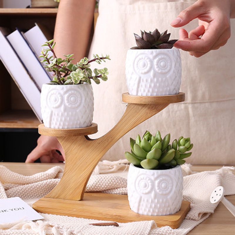 Desktop Simple Bamboo White Ceramic Succulents Placed Flower Pots Creative Bedroom Balcony Wooden Potted Flower Stand