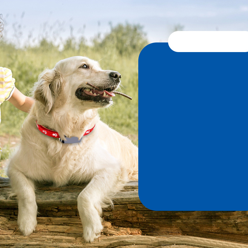 Smart Pet Locator Anti-lost Device Dog Anti-lost Device Gps Positioning Collar Cat Small Waterproof Tracker