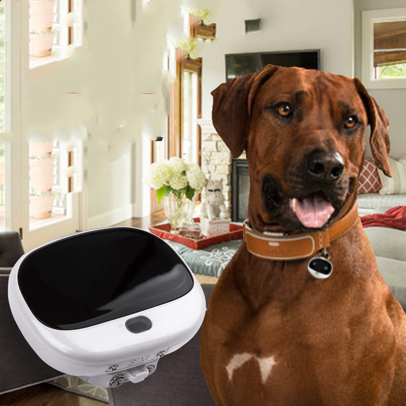 4G Pet GPS Waterproof Collar Smart Dog Hound Locator Anti-lost Tracker For Mini Cat