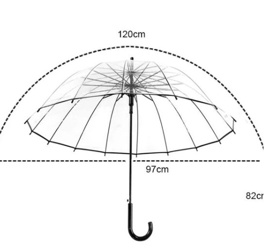 16 Bone Transparent Umbrella Folding Large Small Fresh Long Handle Umbrella Female Sen Retro Ins Umbrella Umbrella Goddess Umbrella