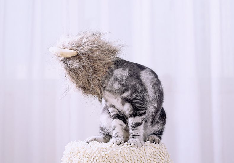 Lion headgear cat hat cute transformation decoration