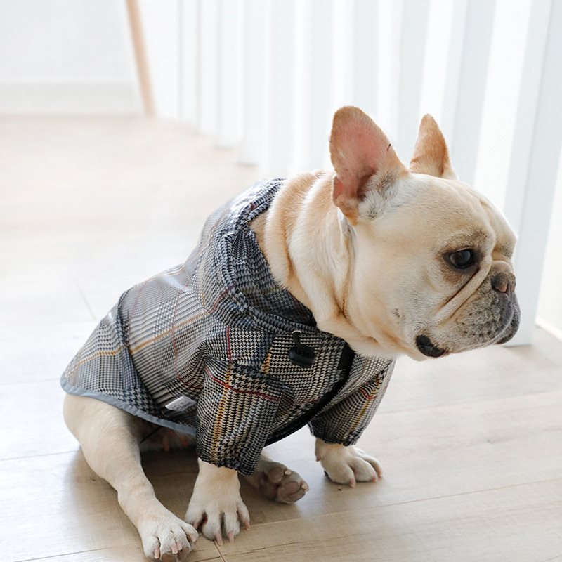Dog plaid raincoat