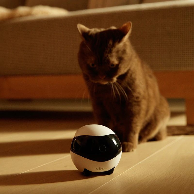 Pet dog and cat companion mobile intelligent remote monitoring robot