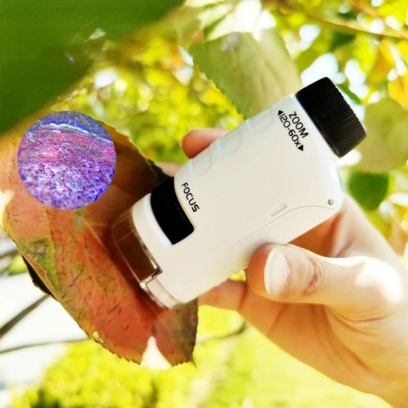 Children's Portable Handheld Microscope Toys HD Optical Equipment Primary And Secondary School Students Outdoor Science Experiment Toys