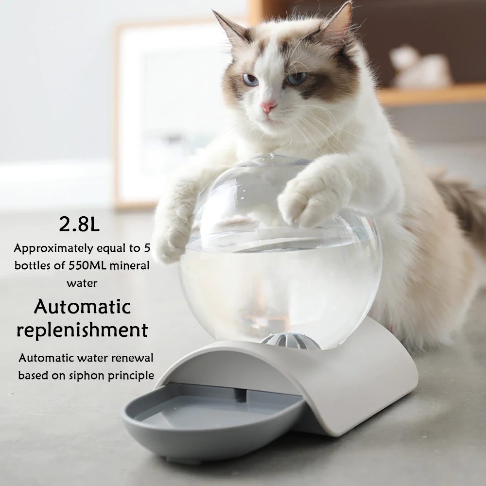 Cat Water Dispenser Automatic Cycle Without Bowl Electric Bubble Water Dispenser Cat Water Drinking Flow Insert Pot Drinking Water Feeding Artifact