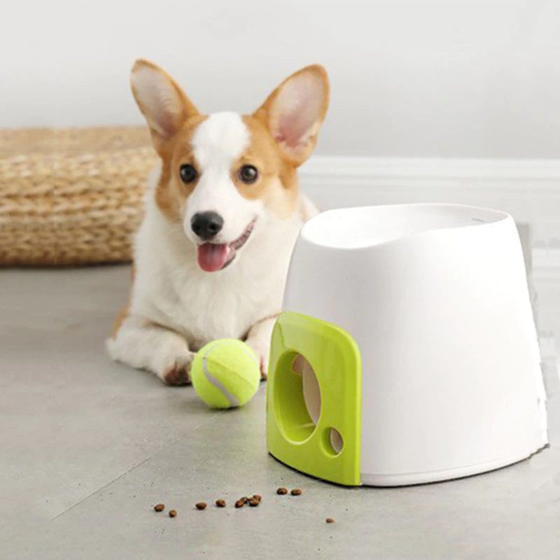 Amazon Pet Supplies Dog Interactive Training Reward Machine Smart Pet Feeder Tennis Feeder Toys