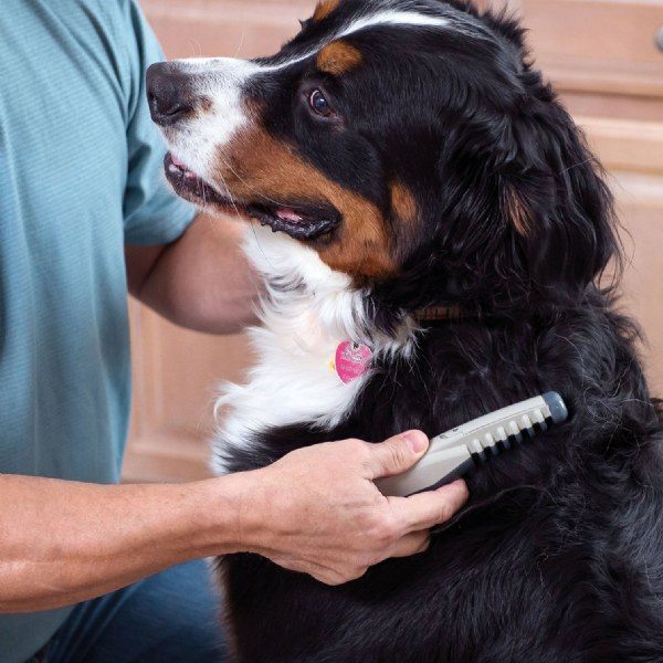 Pet Shaver Dog Hair Brush Cleaner New Electric Pet Shaving Shears Shaving Brush