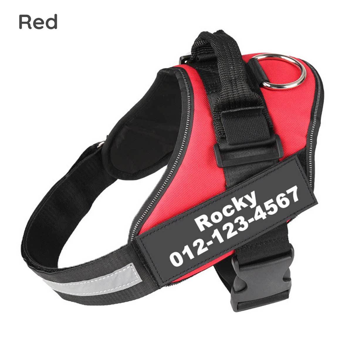 Personalised No-Pull Dog Harness